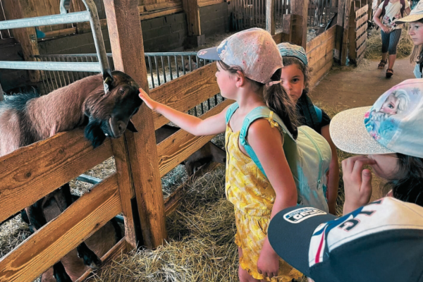 Colonies de vacances multi-activités